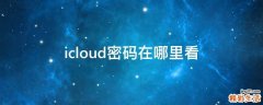 icloud密码在哪里看