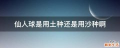 仙人球是用土种还是用沙种啊