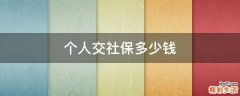 个人交社保多少钱
