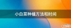 小白菜種植方法和時(shí)間