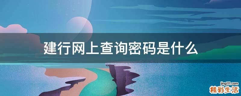 建行网上查询密码是什么