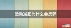 运动减肥为什么会反弹