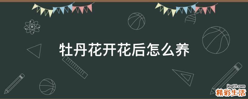 牡丹花開花后怎么養(yǎng)