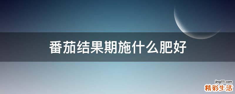 番茄结果期施什么肥好