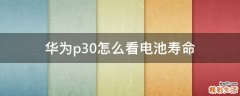 华为p30怎么看电池寿命
