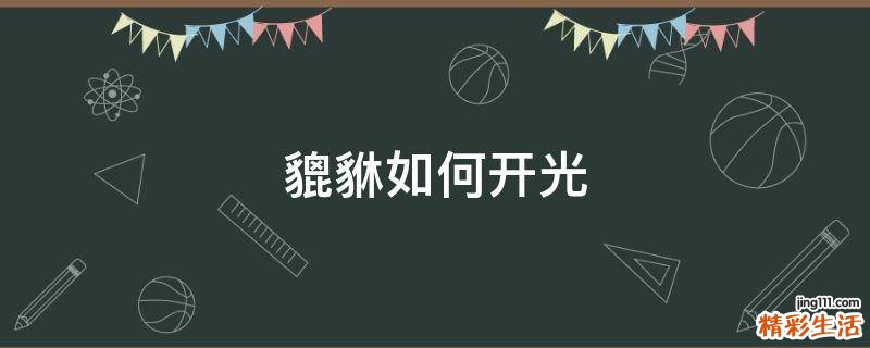 貔貅如何開光