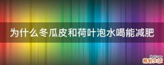 為什么冬瓜皮和荷葉泡水喝能減肥