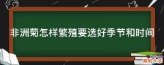 非洲菊怎样繁殖要选好季节和时间