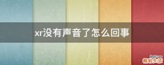 xr没有声音了怎么回事