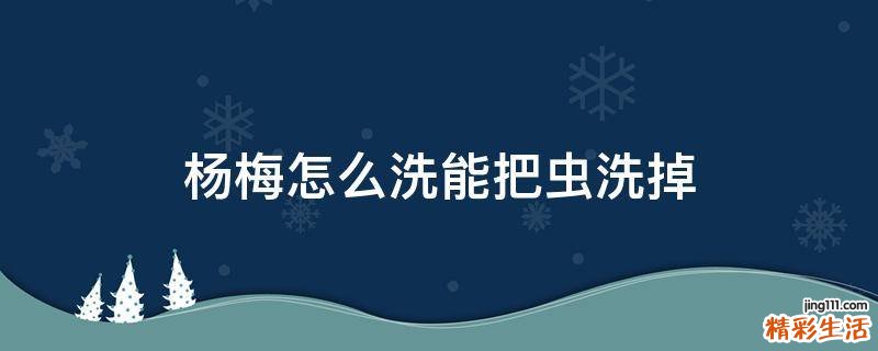 杨梅怎么洗能把虫洗掉