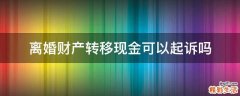 离婚财产转移现金可以起诉吗