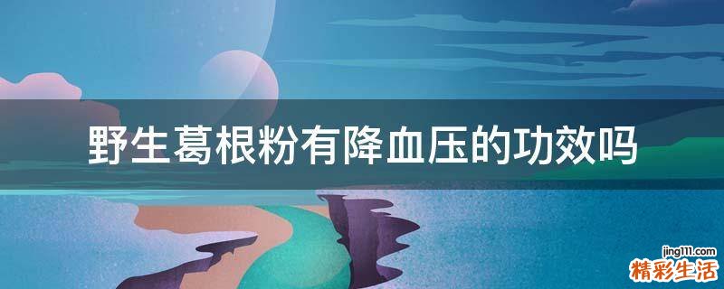 野生葛根粉有降血压的功效吗