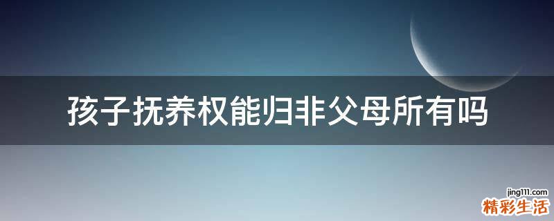 孩子撫養(yǎng)權(quán)能歸非父母所有嗎