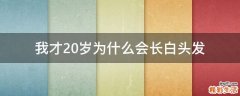 我才20岁为什么会长白头发
