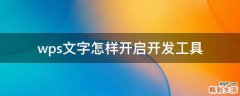 wps文字怎样开启开发工具
