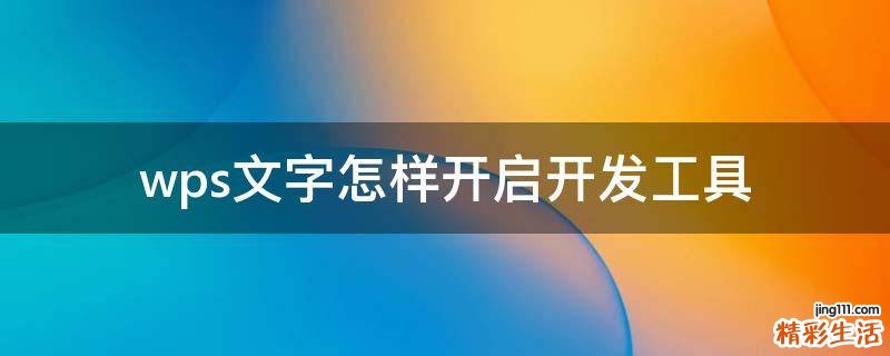 wps文字怎样开启开发工具