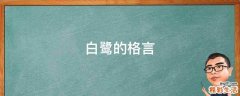 白鹭的格言