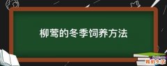 柳莺的冬季饲养方法