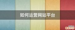 如何运营网站平台