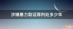 涉嫌暴力取证罪判处多少年