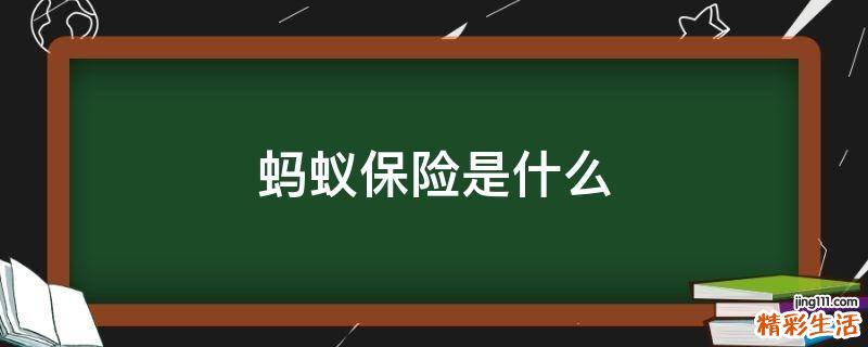 蚂蚁保险是什么