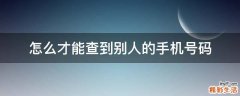 怎么才能查到别人的手机号码