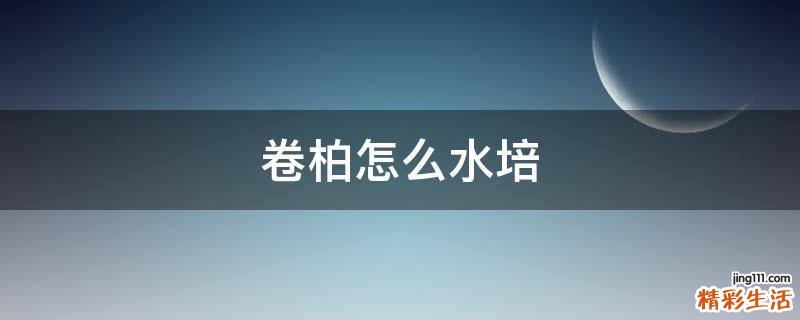 卷柏怎么水培