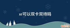 xr可以双卡双待吗