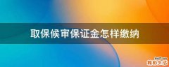 取保候审保证金怎样缴纳