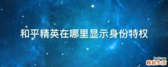 和平精英在哪里显示身份特权