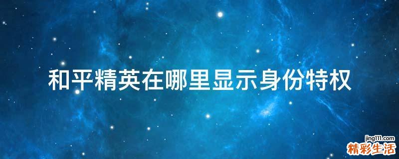 和平精英在哪里显示身份特权