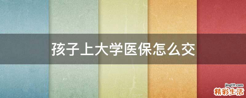 孩子上大学医保怎么交