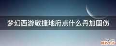 梦幻西游敏捷地府点什么丹加固伤