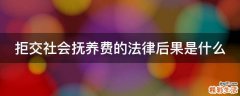 拒交社会抚养费的法律后果是什么
