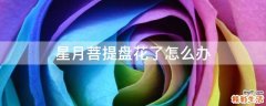 星月菩提盘花了怎么办