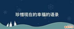 珍惜现在的幸福的语录