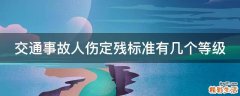交通事故人伤定残标准有几个等级