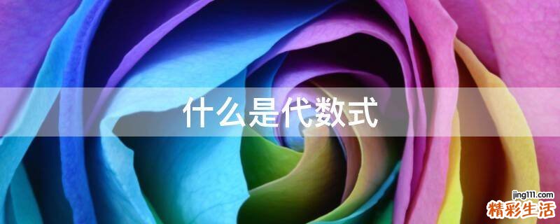 什么是代数式