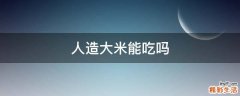 人造大米能吃吗