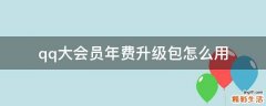 qq大会员年费升级包怎么用