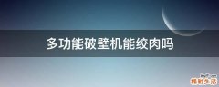 多功能破壁机能绞肉吗