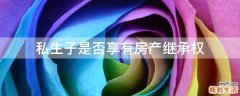 私生子是否享有房产继承权