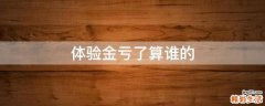 体验金亏了算谁的