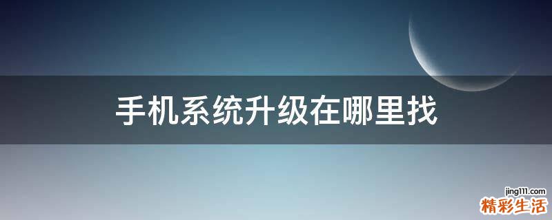 手机系统升级在哪里找