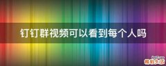 钉钉群视频可以看到每个人吗