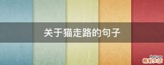 关于猫走路的句子