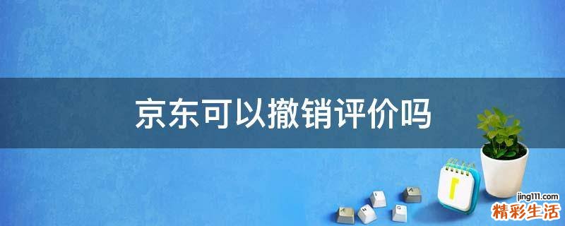 京东可以撤销评价吗