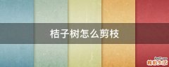 桔子树怎么剪枝