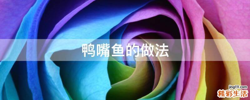 鸭嘴鱼的做法