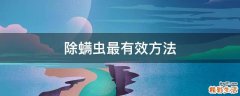 除螨虫最有效方法